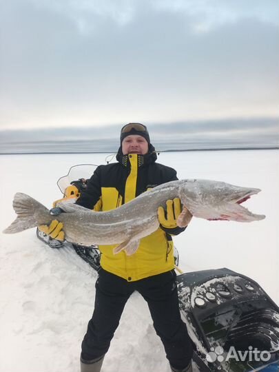 Рыбалка в Архангельске