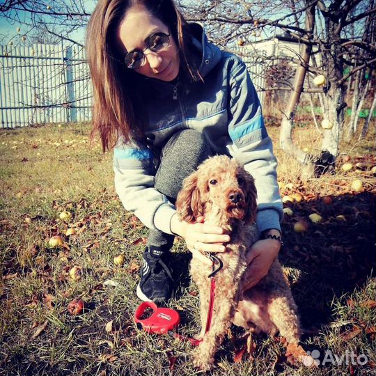 Передержка