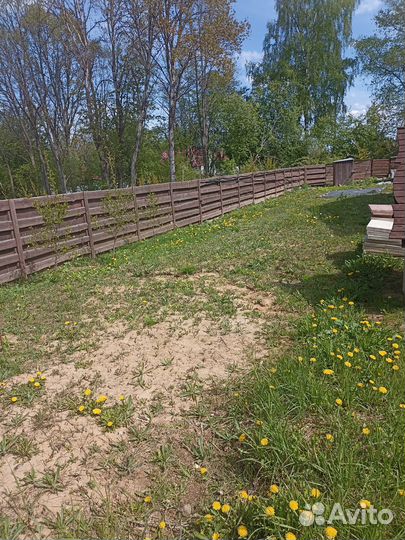 Передержка собак,кошек,птиц,грызунов в частном дом