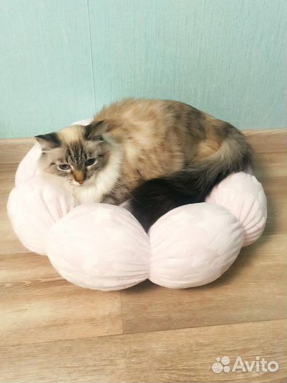 Лежанка для кошек, собак мелких пород