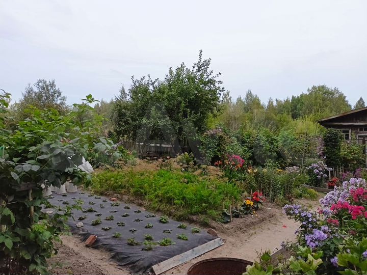 Участок 11,6 сот. (ИЖС)