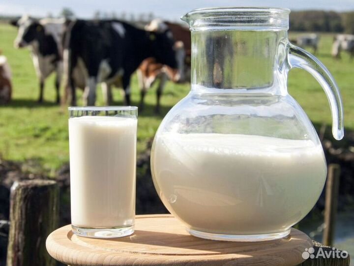 Домашняя молочная продукция оптом