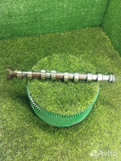 Распредвал впускной Пежо/Ситроен 1.6