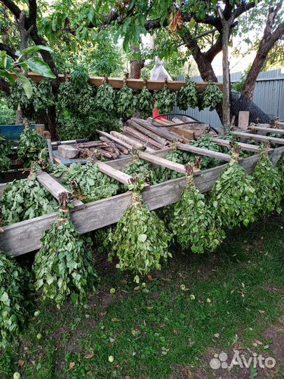 Веники для бани