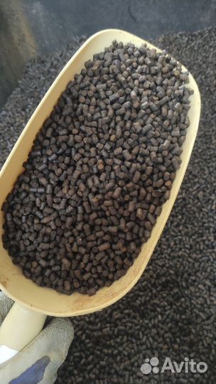 Корма для форели(лососевых) и осетра