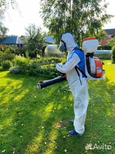 Уничтожение тараканов, клопов: бесплатный выезд