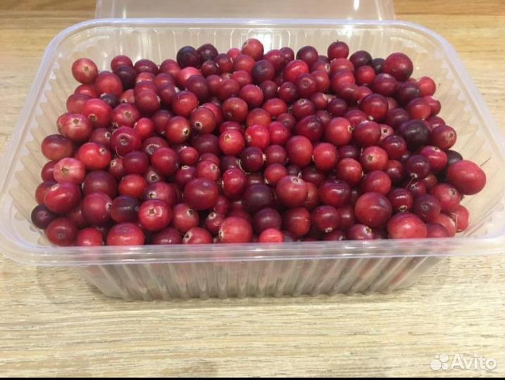 Клюква свежая