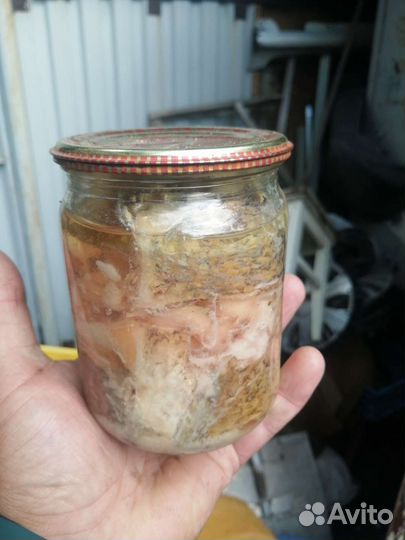 Тушёнка домашняя из лося