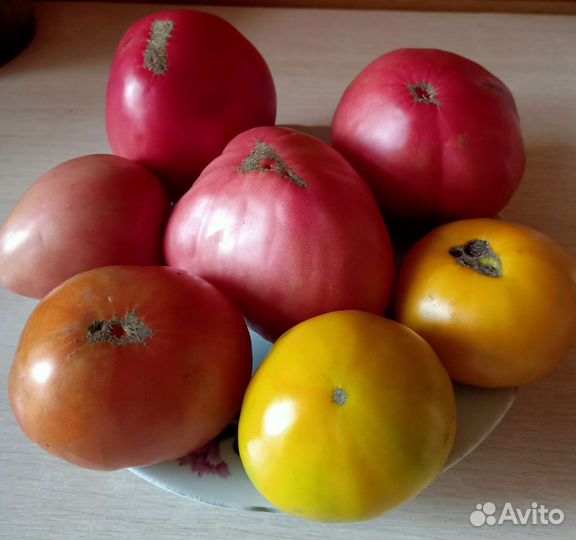 Семена томатов,перца,укропа