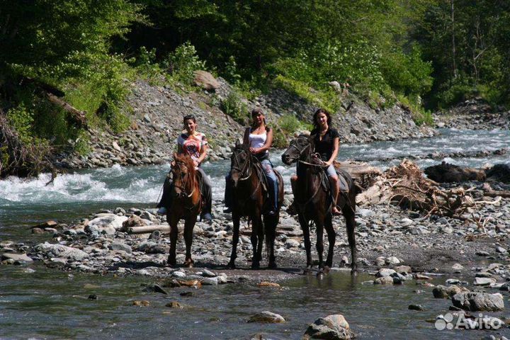 Тур - Конные прогулки