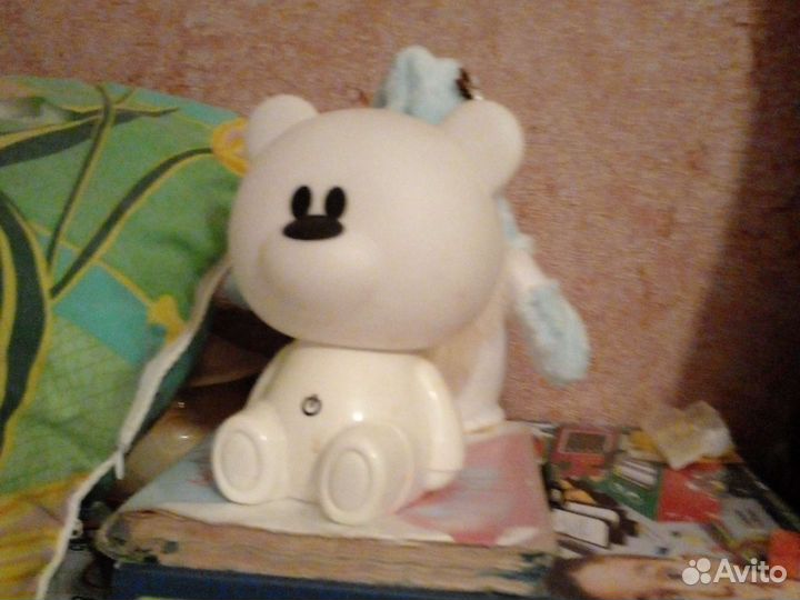 Медведь ночник