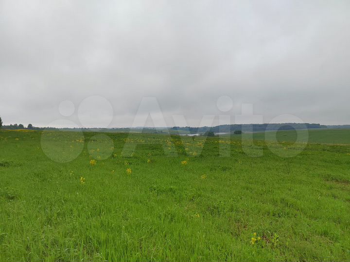 Участок 4 га (СНТ, ДНП)
