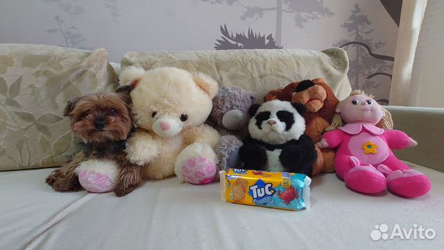 Огромный набор мягких игрушек