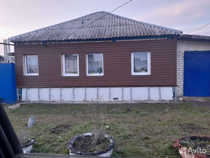 Покраска крыш домов фасадов авто