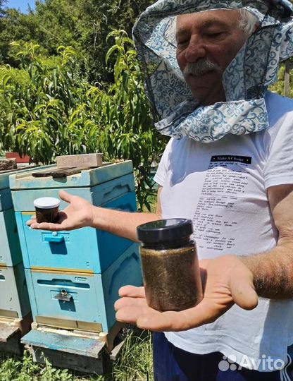 Антипаразитарный мед