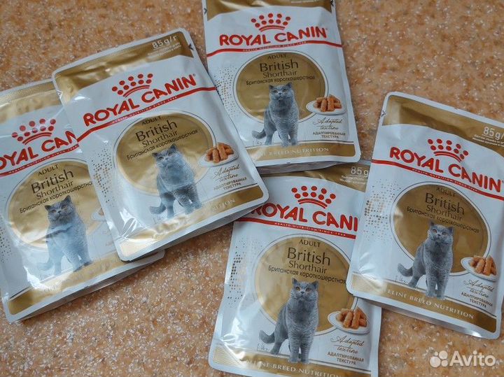 Корм для кошек Royal Canin British Shorthair паучи