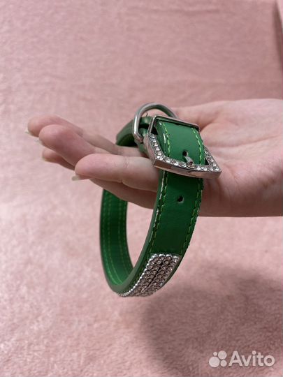 Ошейник для собак