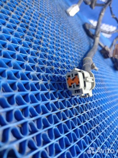 Проводка двери Nissan Cefiro A33 седан VQ20 2000