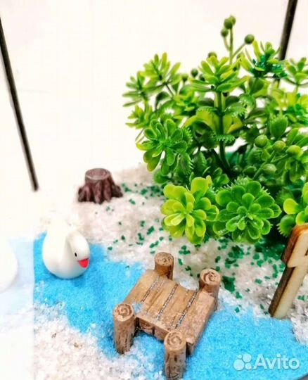 Флорариумы