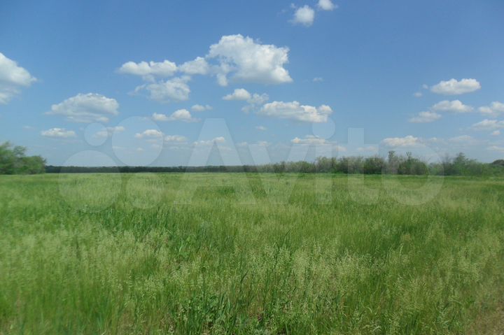 Участок 9,6 га (СНТ, ДНП)