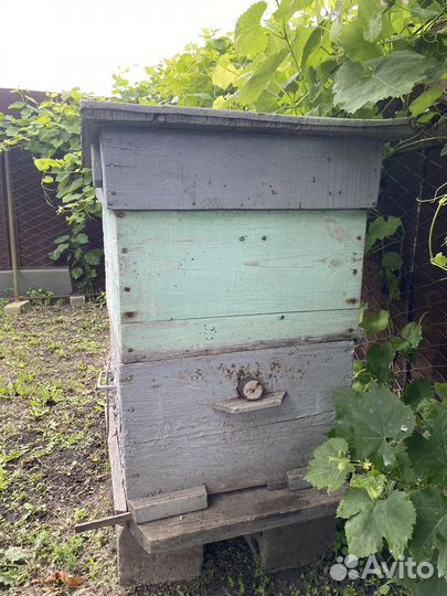 Ульи для пчел с рамками