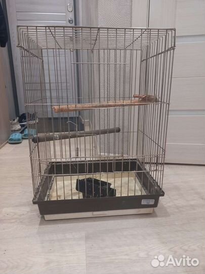 Клетка для попугая корелла