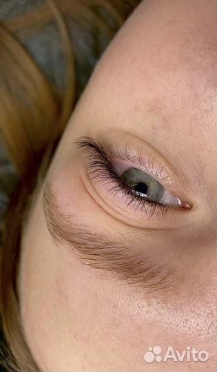 Ресницы & Брови
