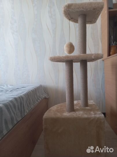 Кошачий домик