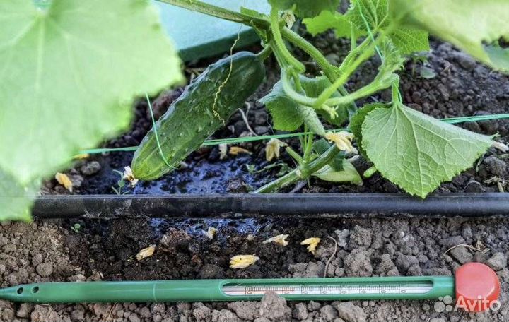 Автоматический капельный полив огорода новичкам