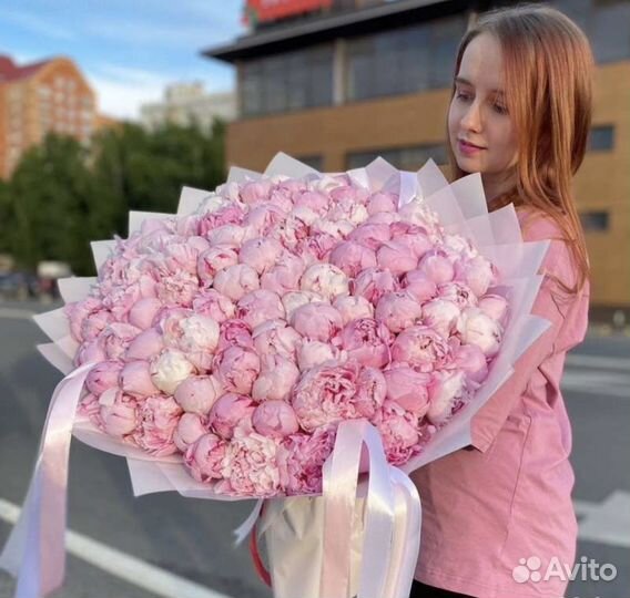 Пионы от производителя. Доставка в срок 24/7