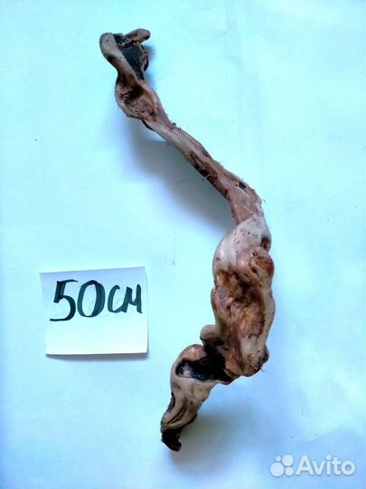 Коряги для террариума