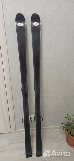 Горные лыжи