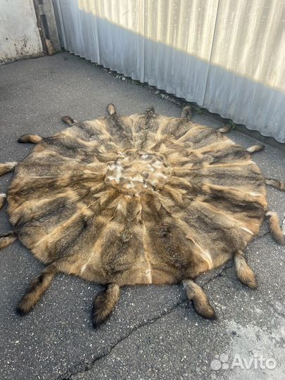 Ковер из волка