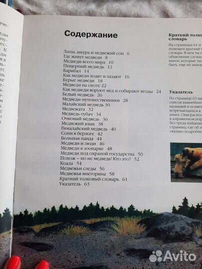 Атлас, энциклопедия