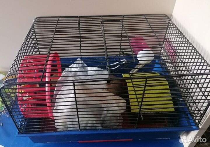 Клетка для грызунов бу