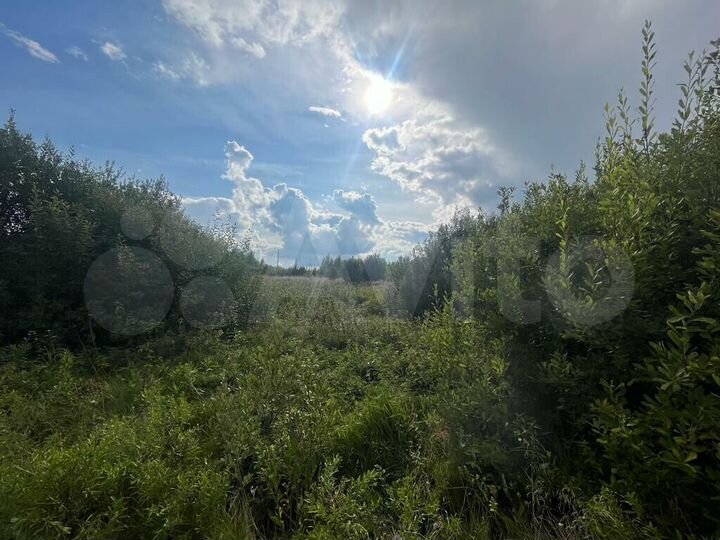 Участок 2,55 га (СНТ, ДНП)