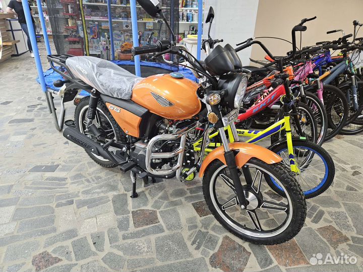 Рейсер альфа