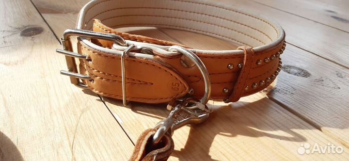 Ошейник для крупной собаки