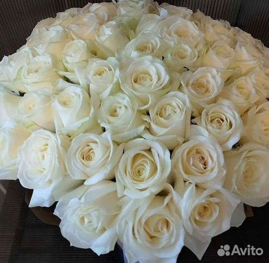 Высокие Высокие розы Гигантские розы Букеты Достав