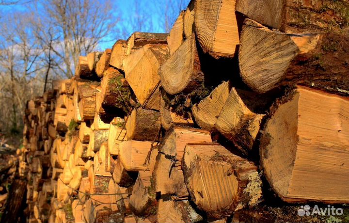 Дрова с Выборга