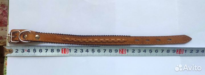 Ошейник для собак