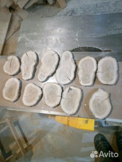 Торцевой спил дуба