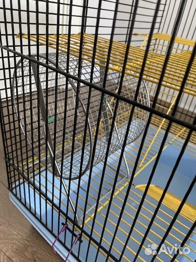 Клетки для грызунов