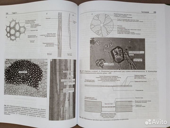 Д. Тейлор, Н. Грин, У. Стаут 
