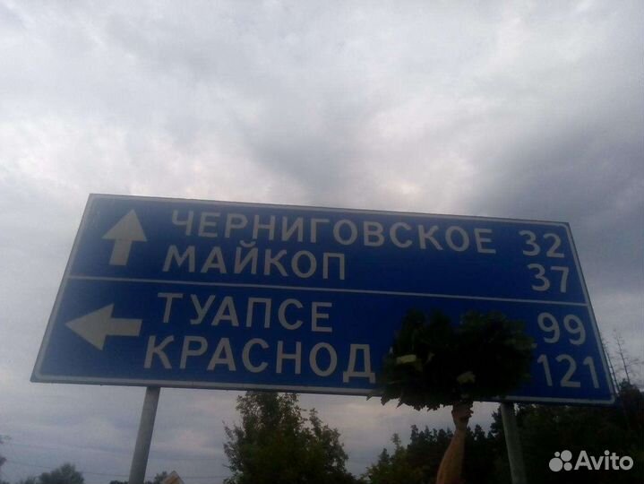 Продам дубовые веники