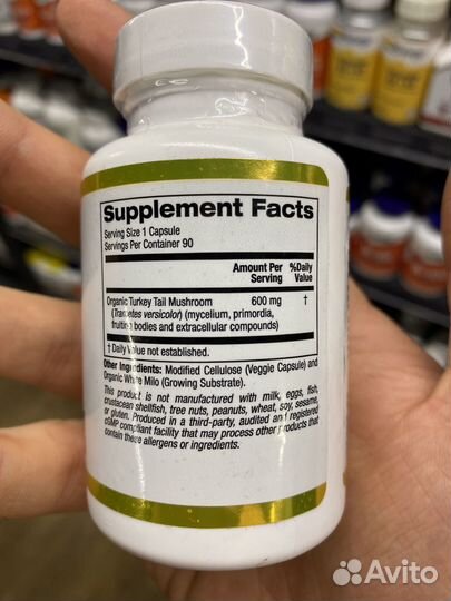 Трутовик разноцветный 90 шт