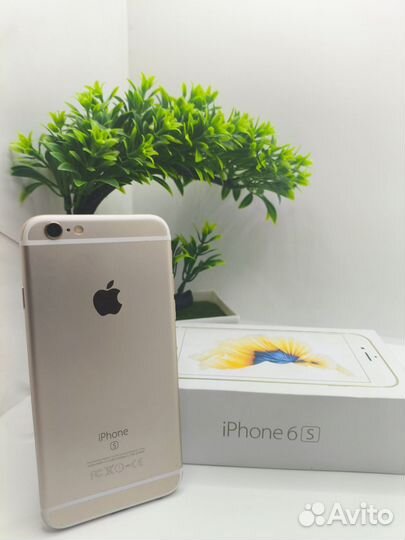 iPhone 6S, 16 ГБ