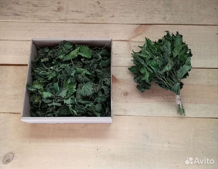 Крапива для бани