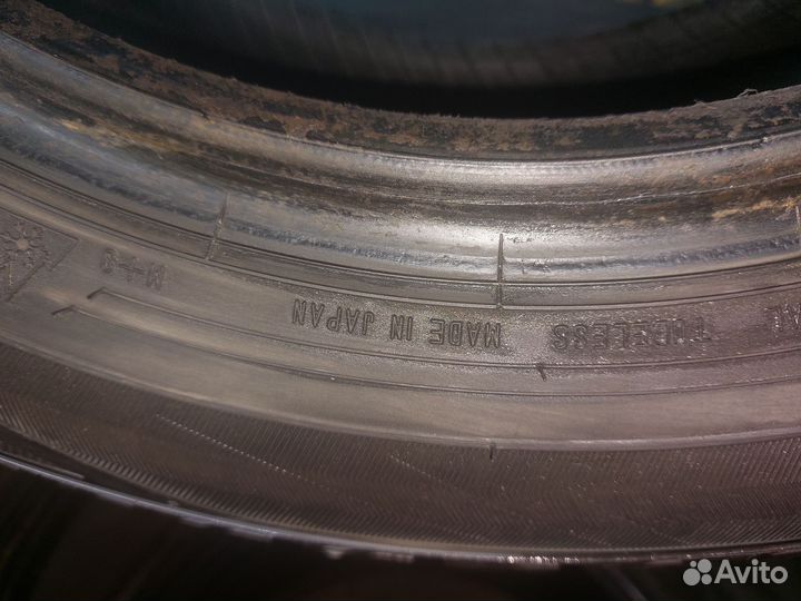 Dunlop SP Winter Maxx WM01 175/65 R14