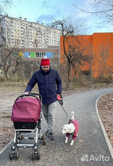 Коляска люлька для новорожденных Jane